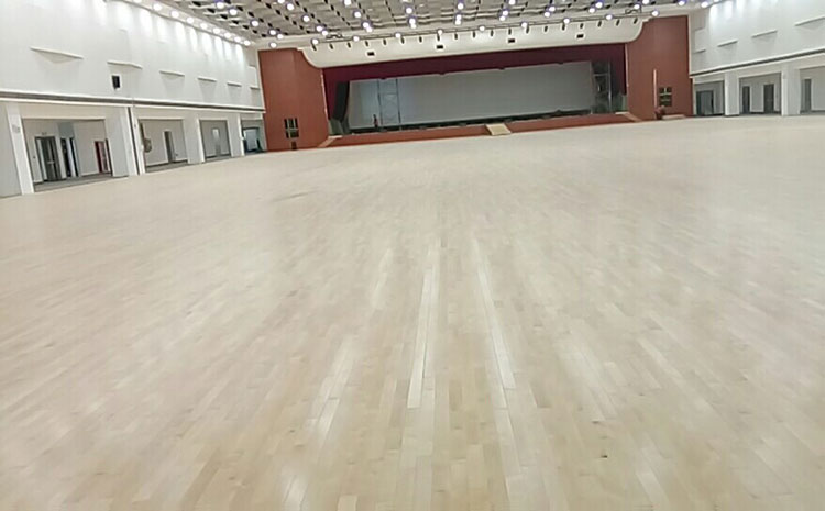 專業(yè)的風雨操場地板哪個品牌好？